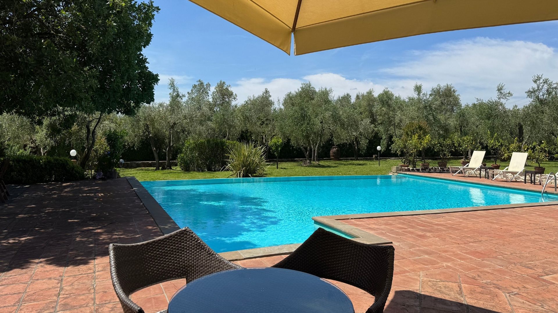 Tuscan Glory photo 4
