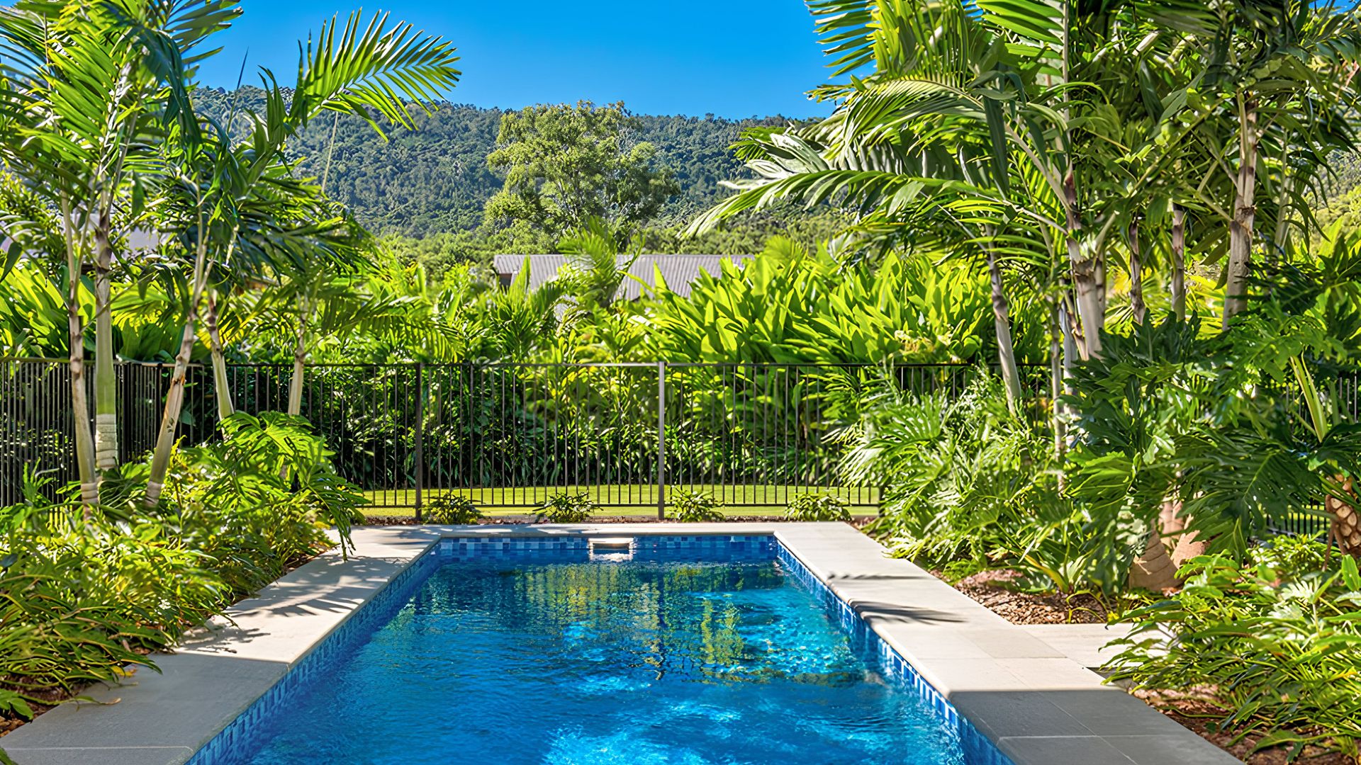 Whitsunday Dream photo 3