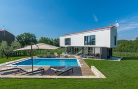 The Green Star reviews