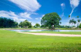 Golf Course Oasis reviews