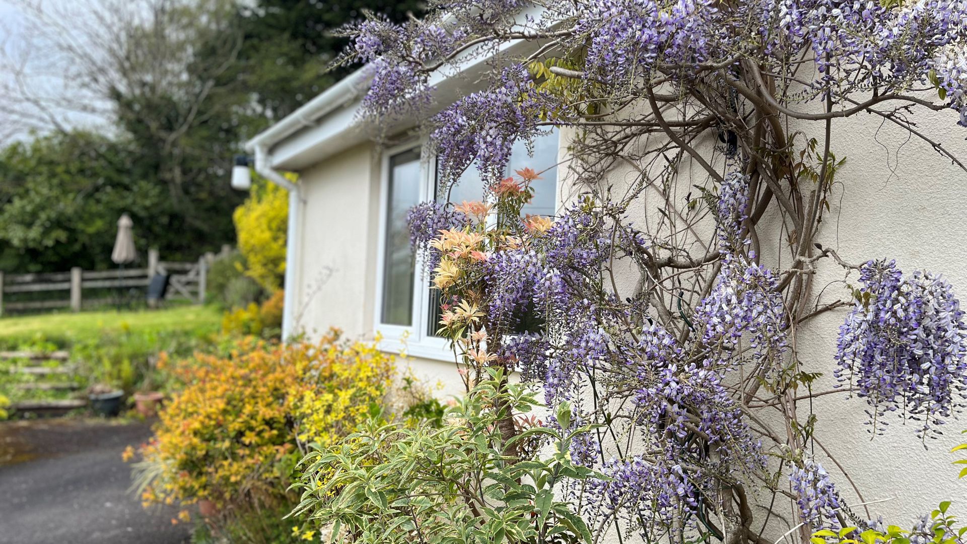 Exmoor View, Wootton Courtenay photo 6