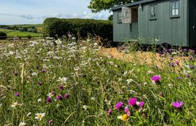 Log Cabin in Derbyshire reviews
