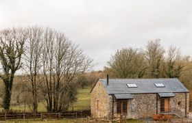 Lower Walreddon Barn