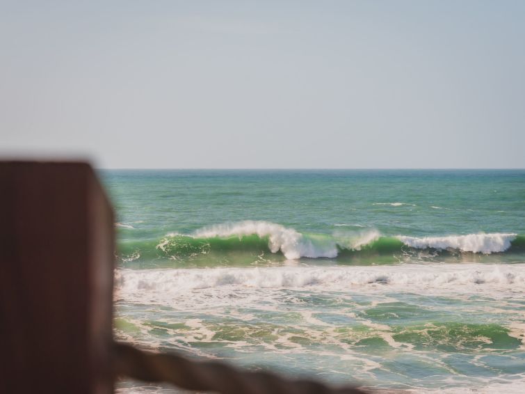 Salty Sea Dog photo 60