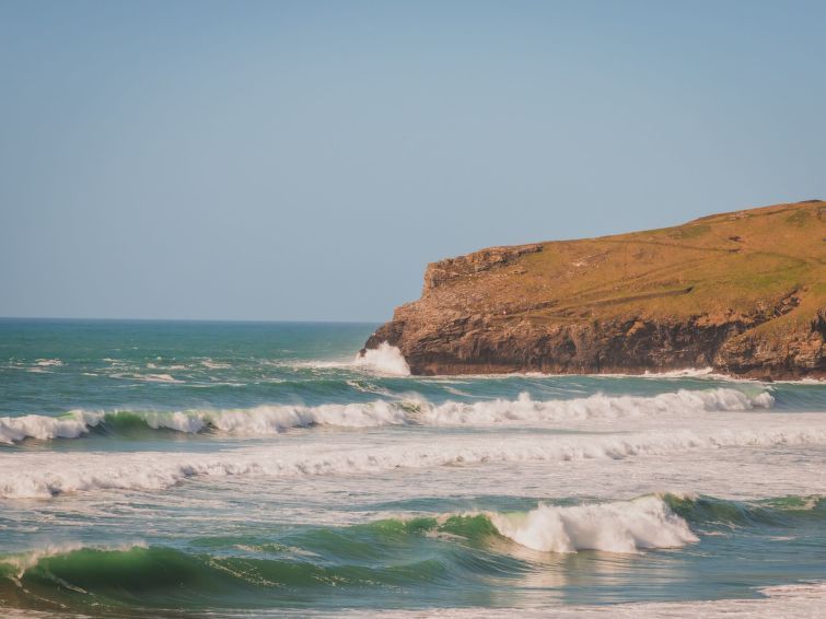 Salty Sea Dog photo 54