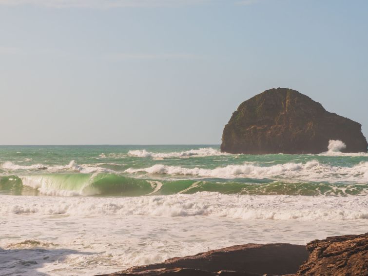 Salty Sea Dog photo 52
