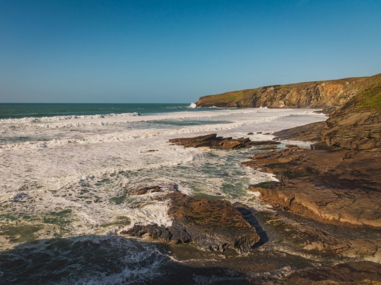 Salty Sea Dog photo 57