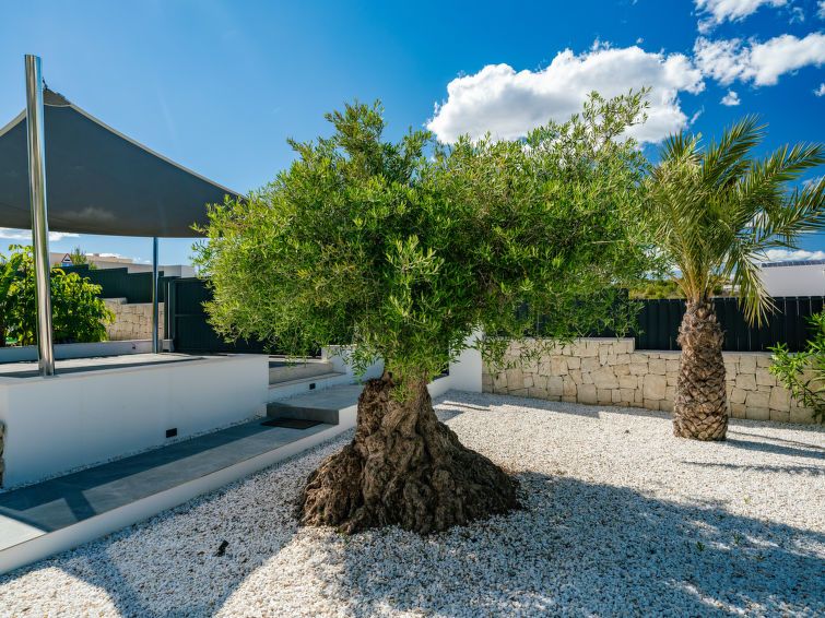 Villa Palma photo 81