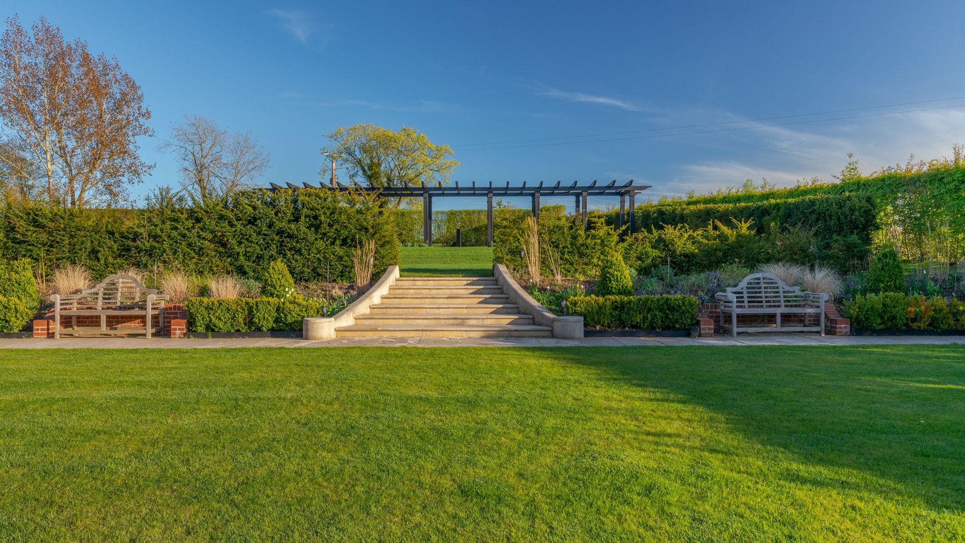 An East Anglian Vineyard photo 1