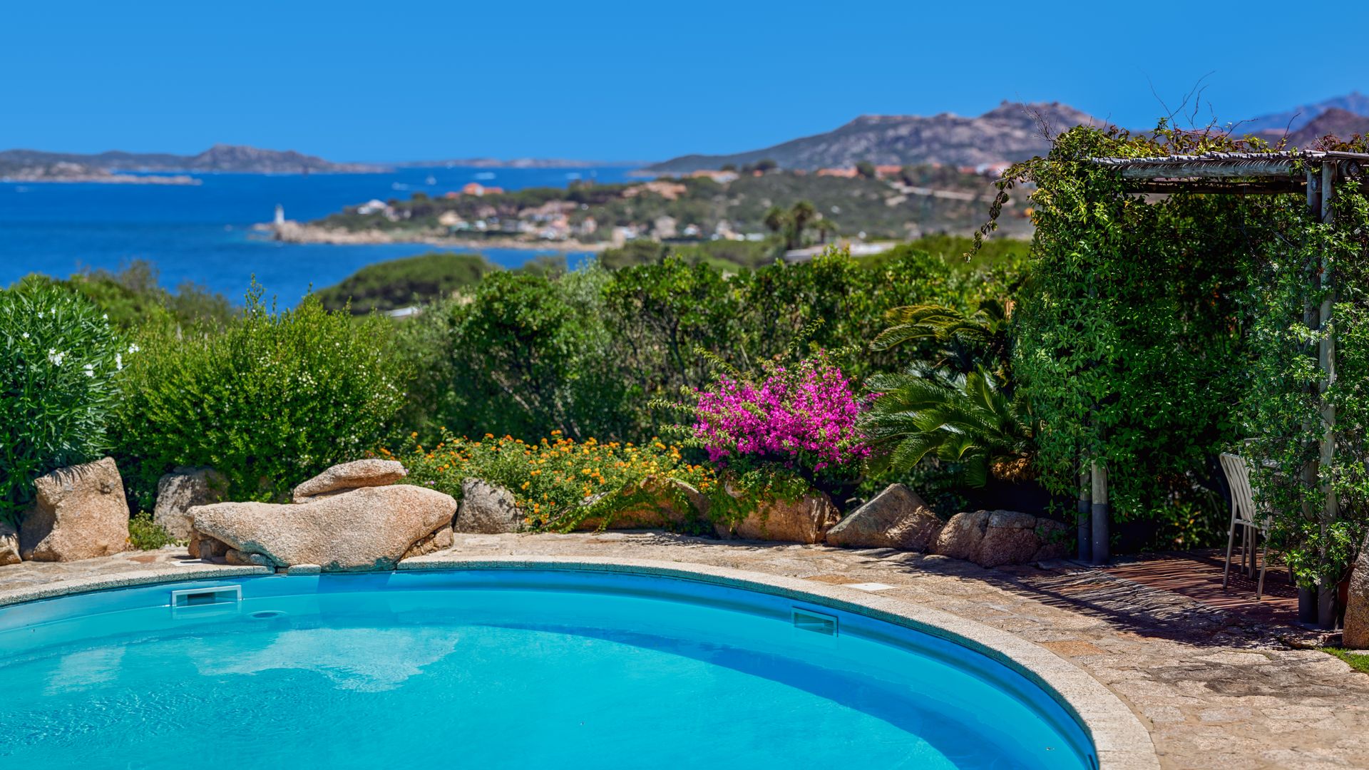 Feels Like Paradise photo 4