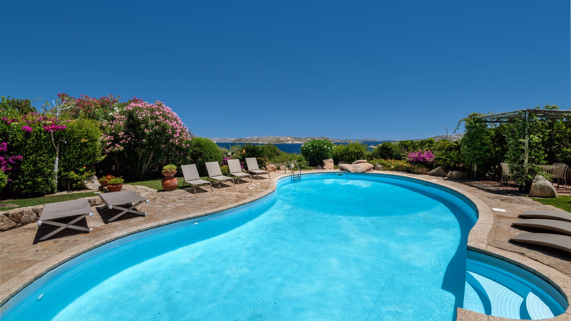 Feels Like Paradise photo 3