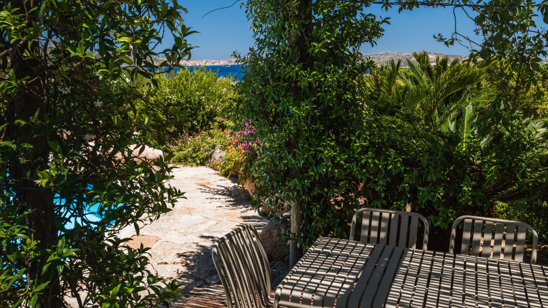 Feels Like Paradise photo 6