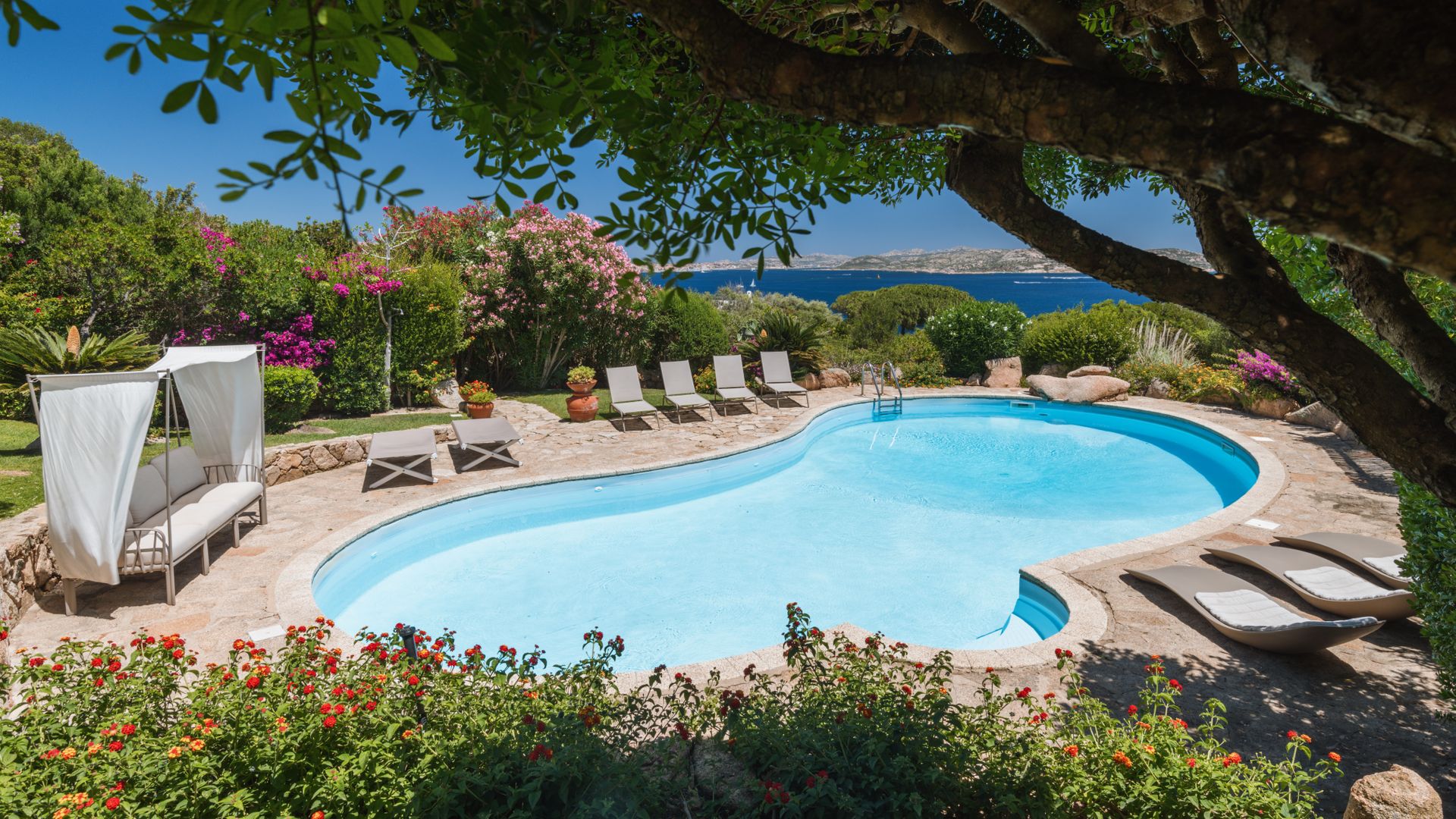 Feels Like Paradise photo 1