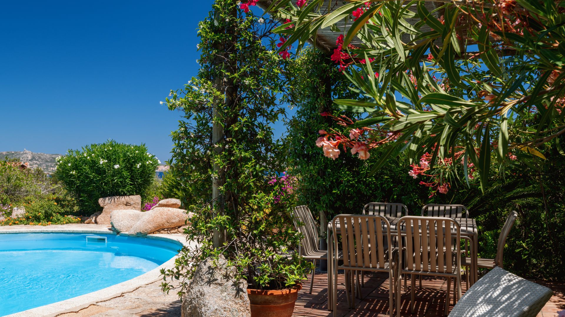Feels Like Paradise photo 5