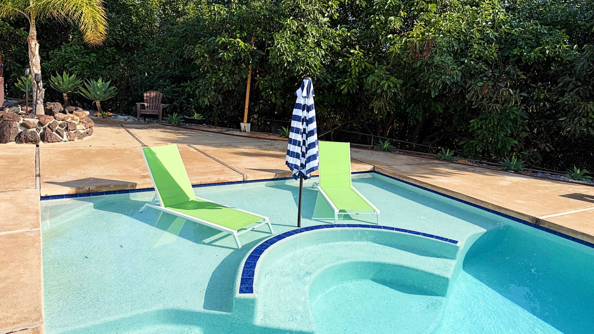 Pool Oasis photo 4
