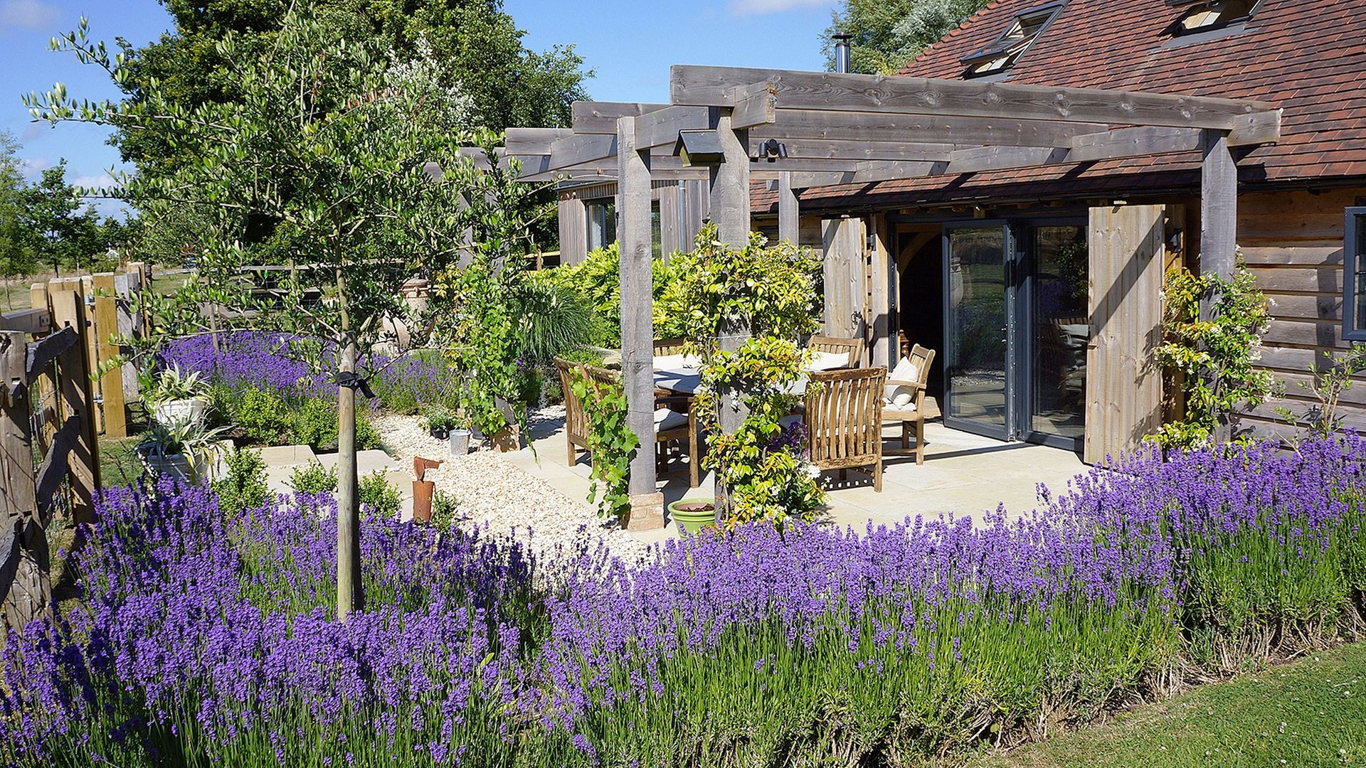 Scented Lavender photo 1