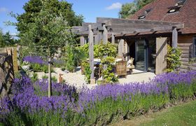 Scented Lavender