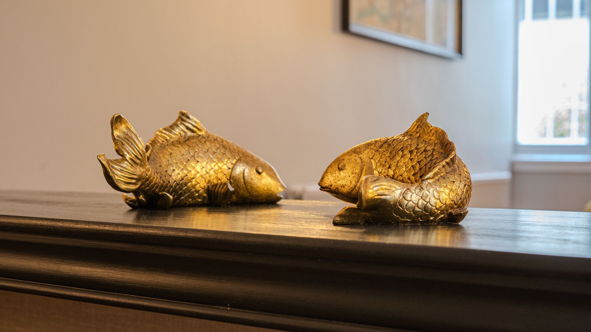 The Golden Carps photo 6
