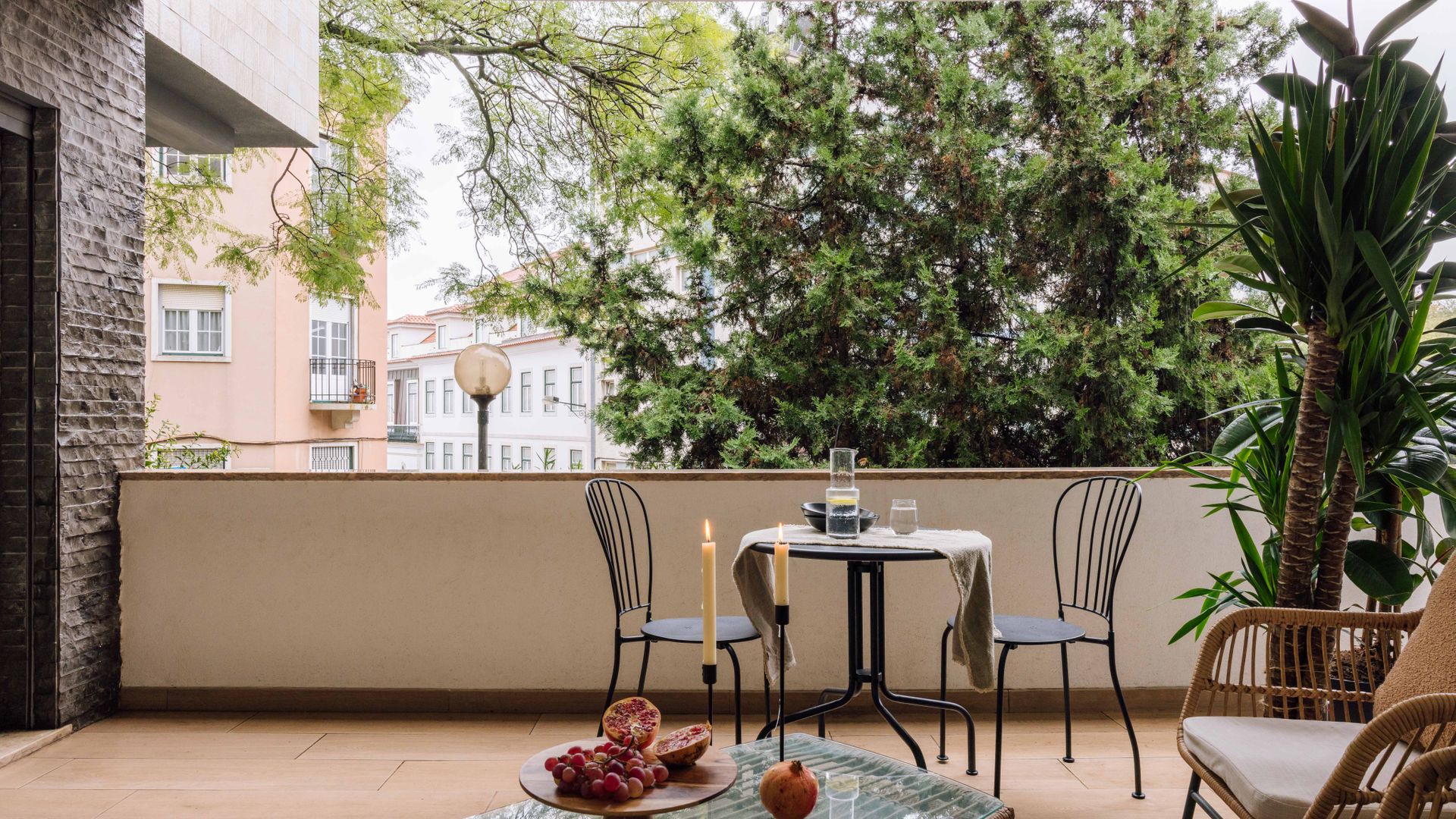 The Beauty of Terrace photo 10