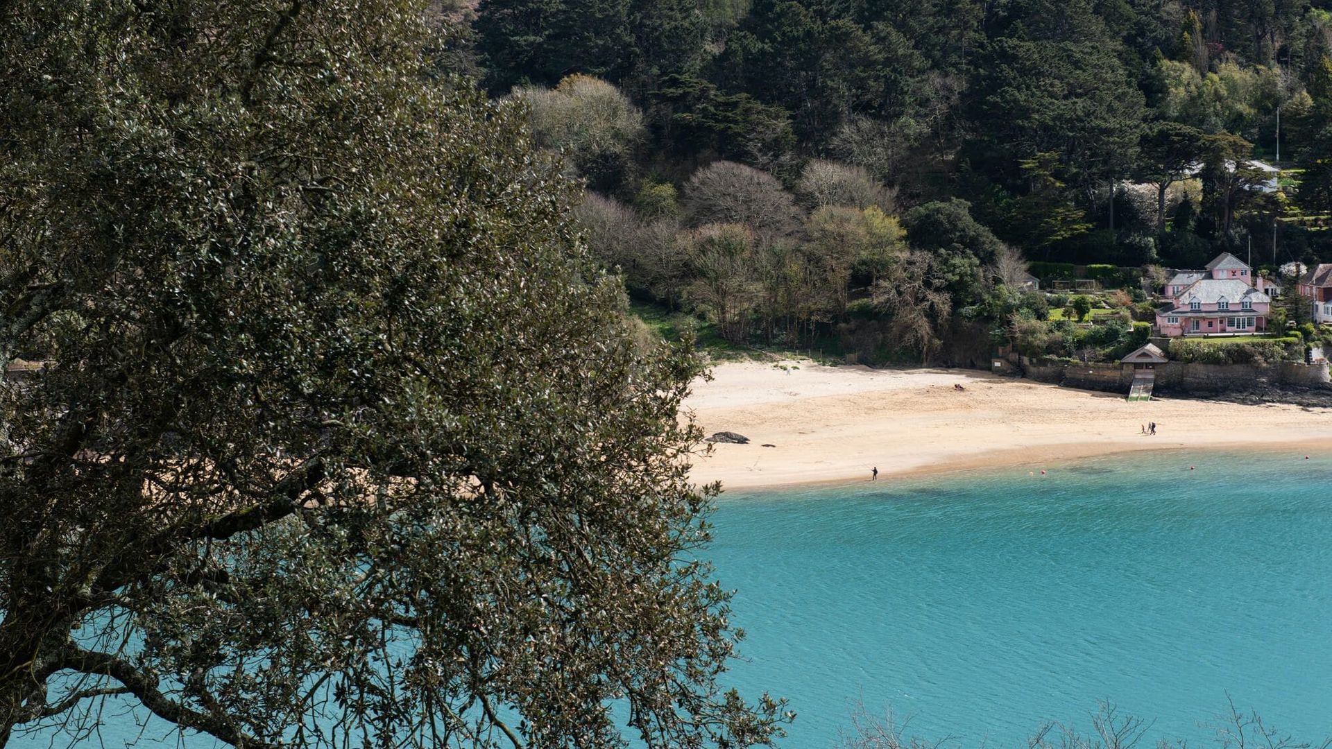 Sea Shadow photo 2