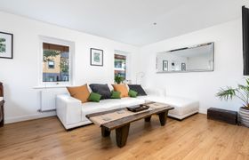Teak On White