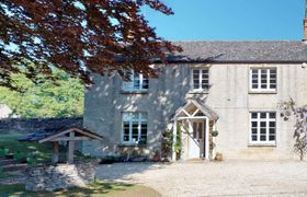 Beneath the Beech Tree reviews