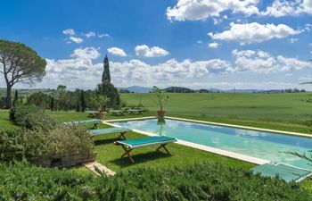 The Vines of Tuscany