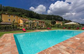 Lucca Love reviews