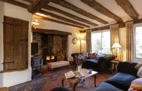 The Old Apple Tree reviews