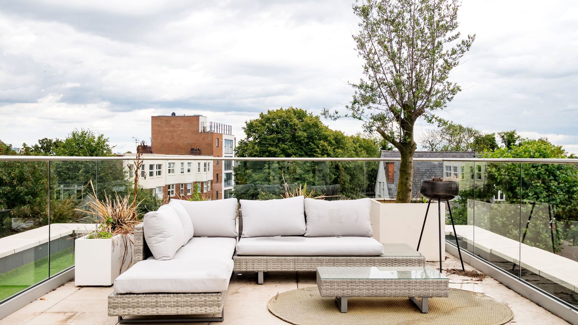 Brondesbury Belle photo 2