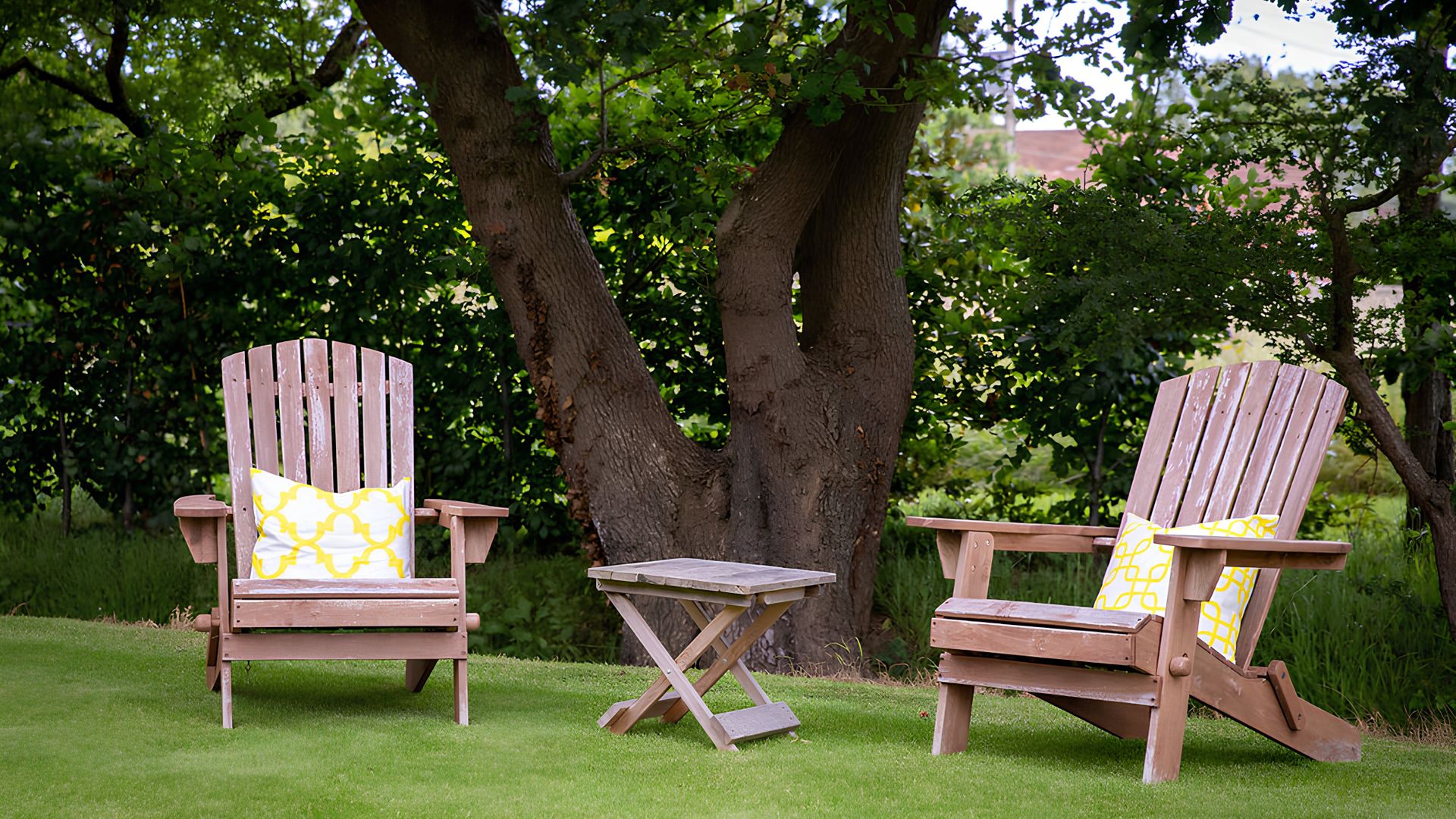 Garden Sanctuary photo 5