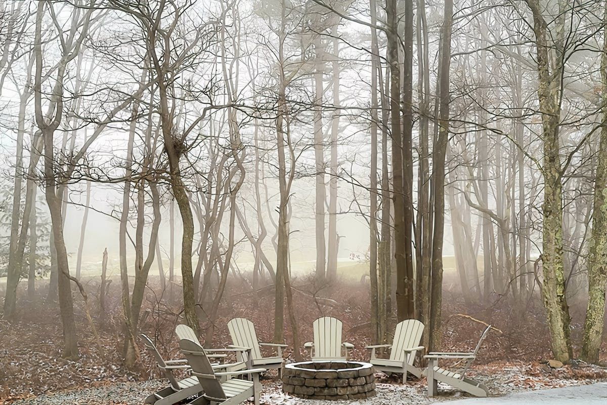 Through the Seasons photo 2