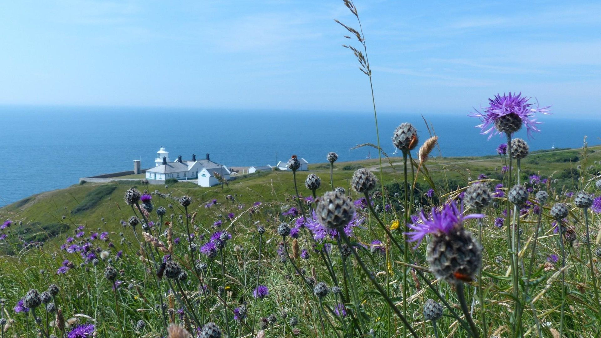 Postcard from the Lighthouse photo 1