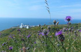 Postcard from the Lighthouse