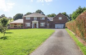 Talar Wen reviews