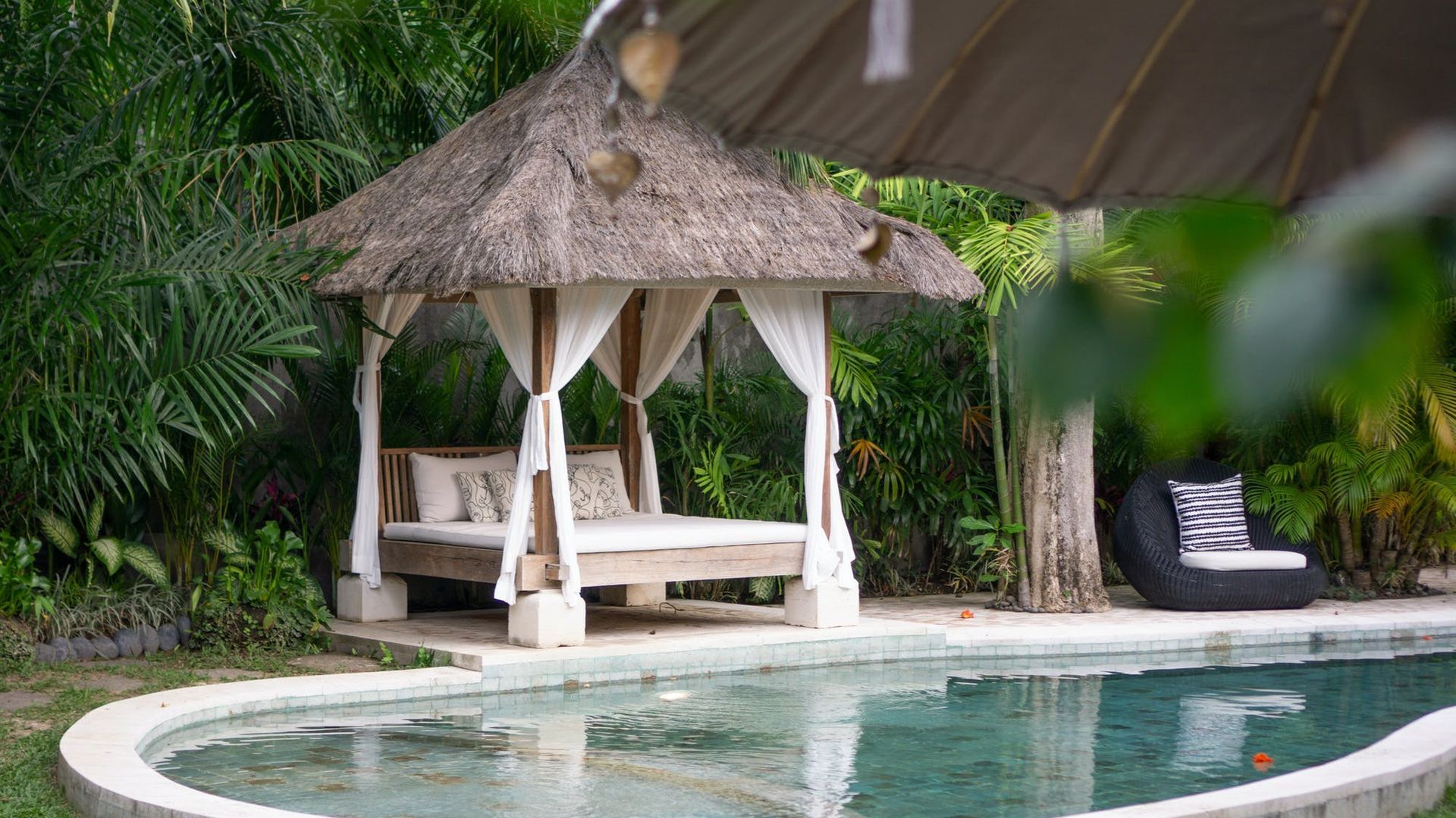 Tropicalisation photo 2