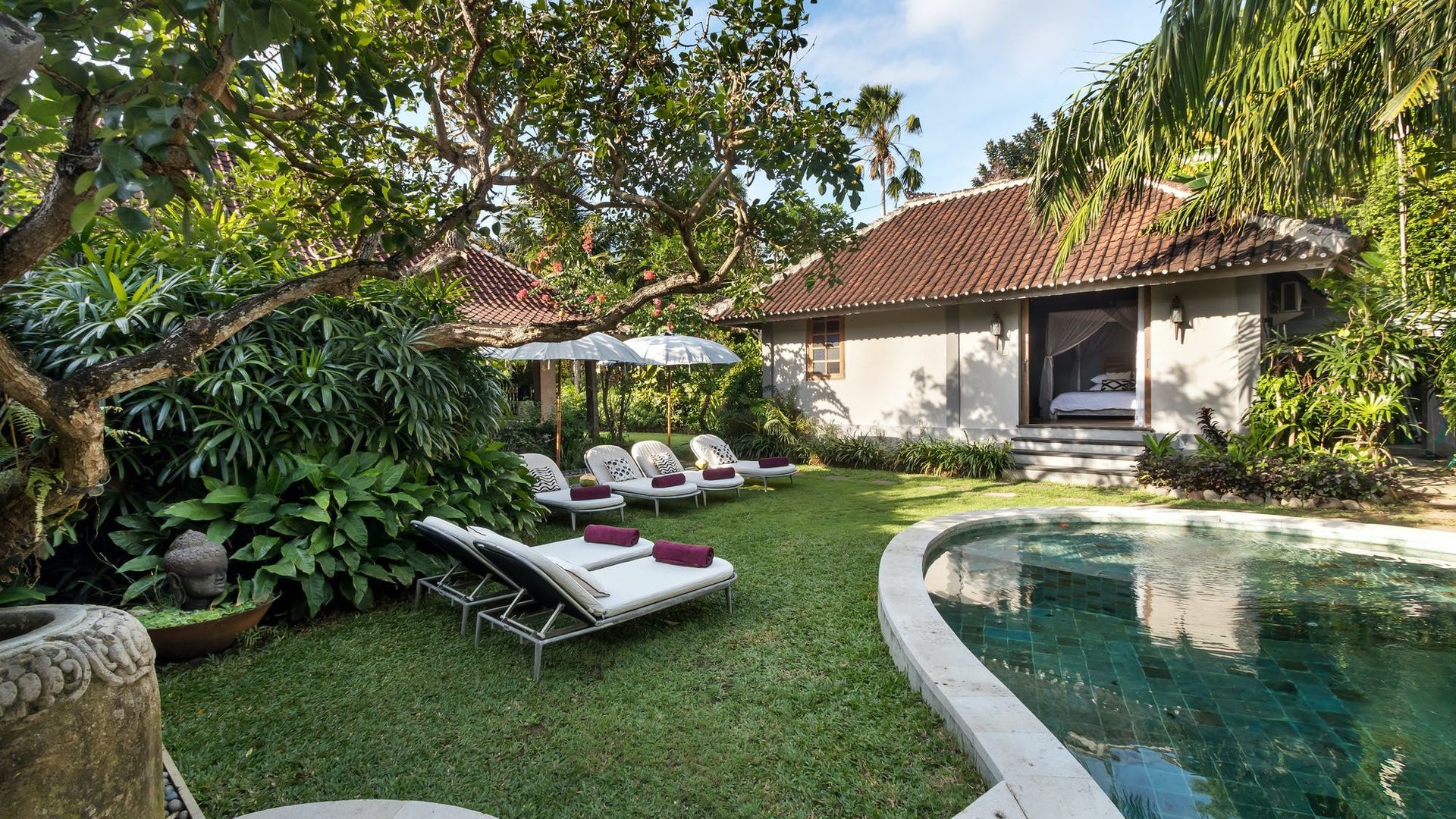 Tropicalisation photo 9