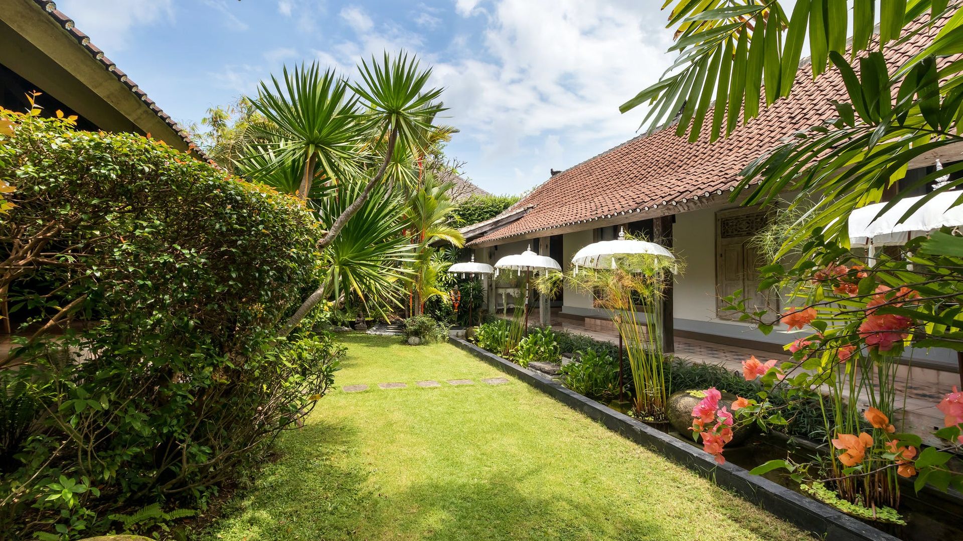 Tropicalisation photo 5