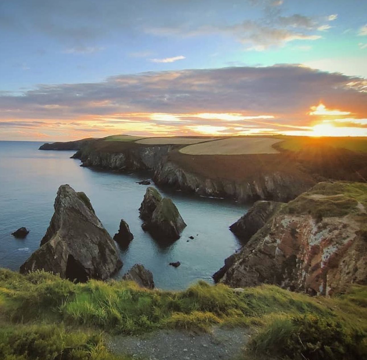 Luxury Cork Mansion & Gardens photo 48