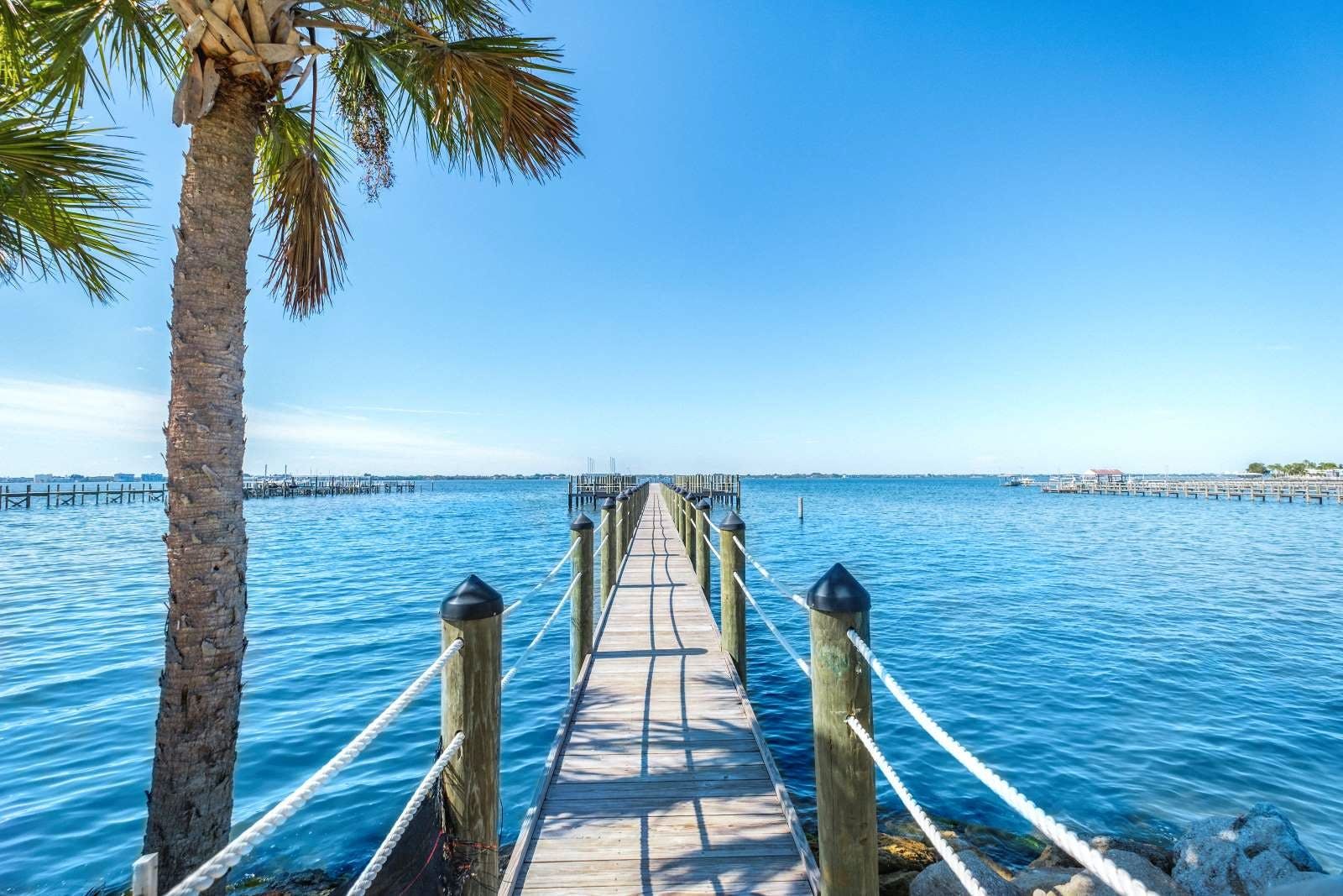 Florida's Edge photo 5