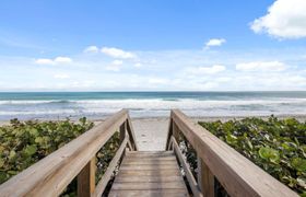 Blue Skies Over the Brevard