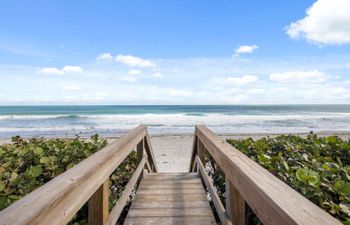 Blue Skies Over the Brevard