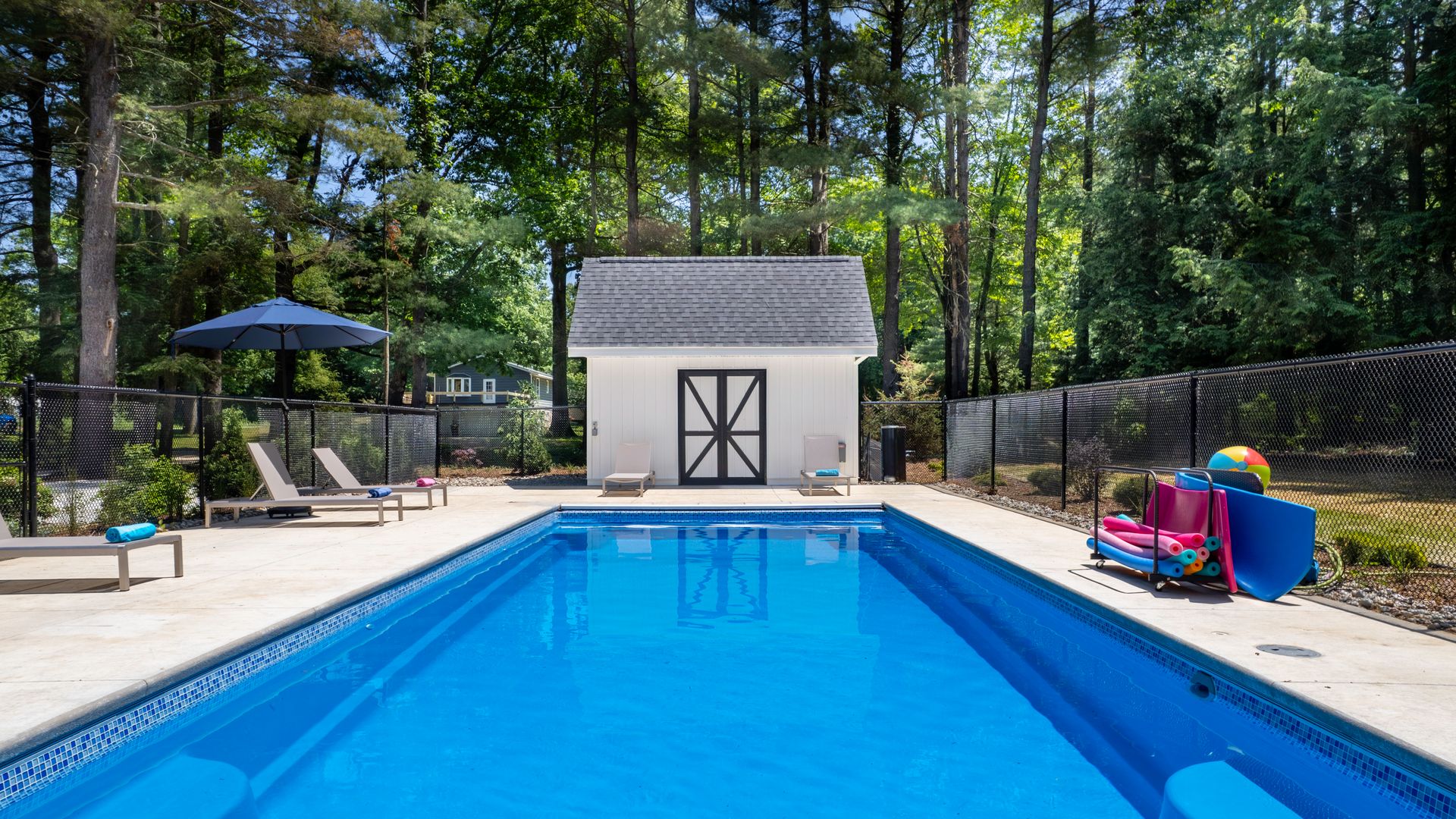 Lakeshore Landscape photo 2