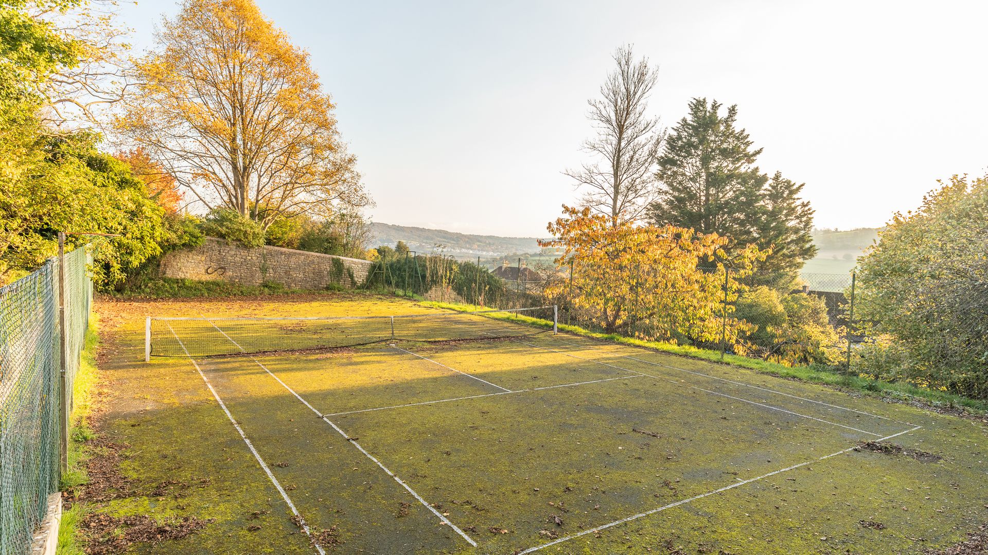 The Georgian Garden photo 6