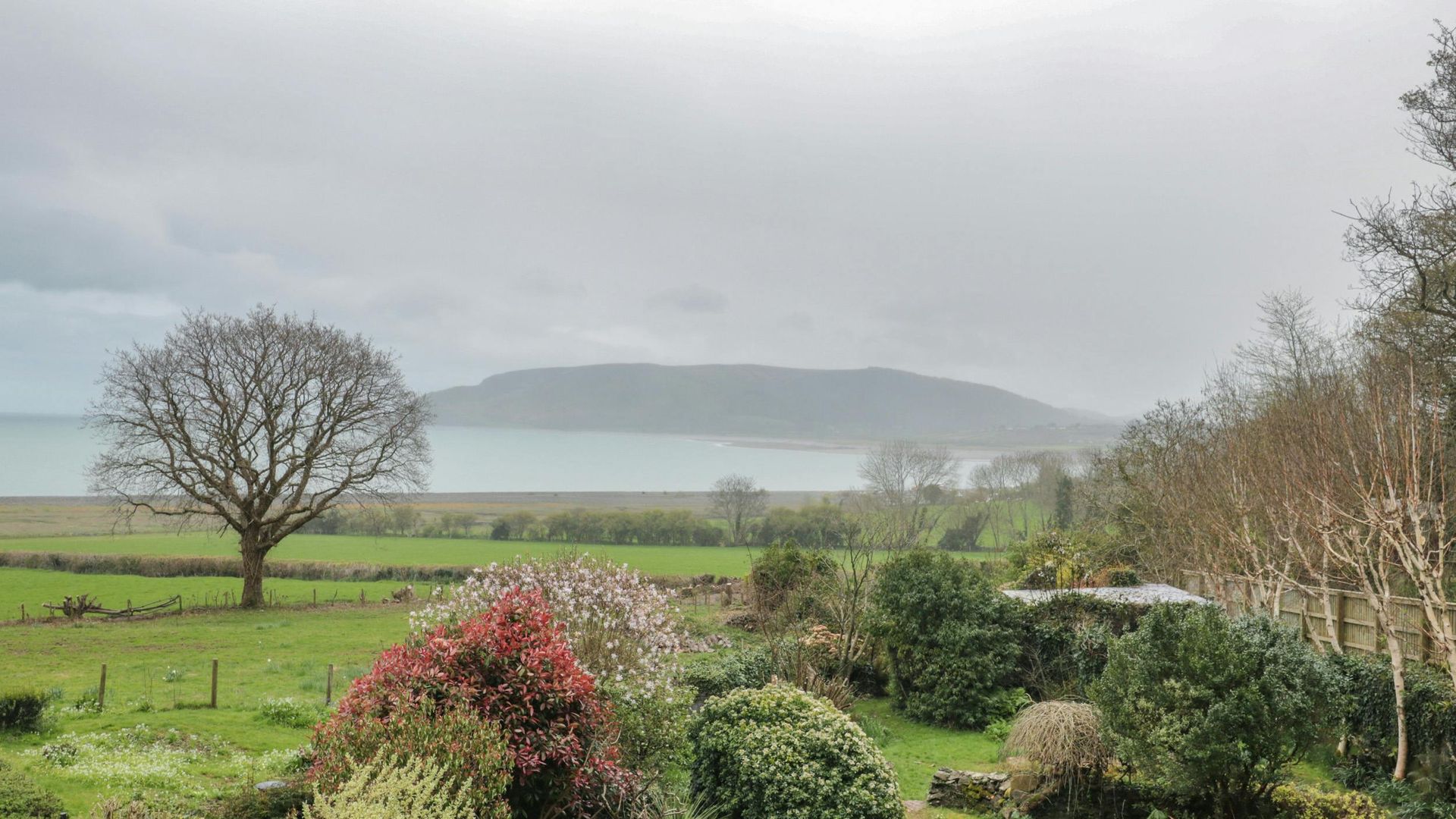 The Porlock Pearl photo 2