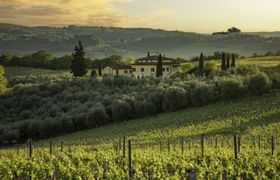 Podere San Michele reviews