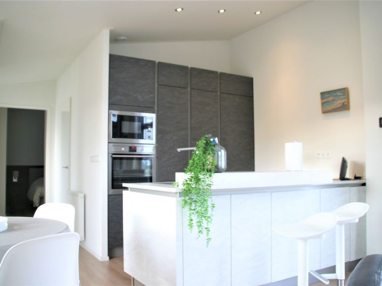 Vakantiehuis Ruisweg 32 Apartment 40 photo 5