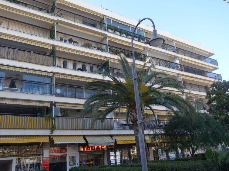 Antinea photo 6