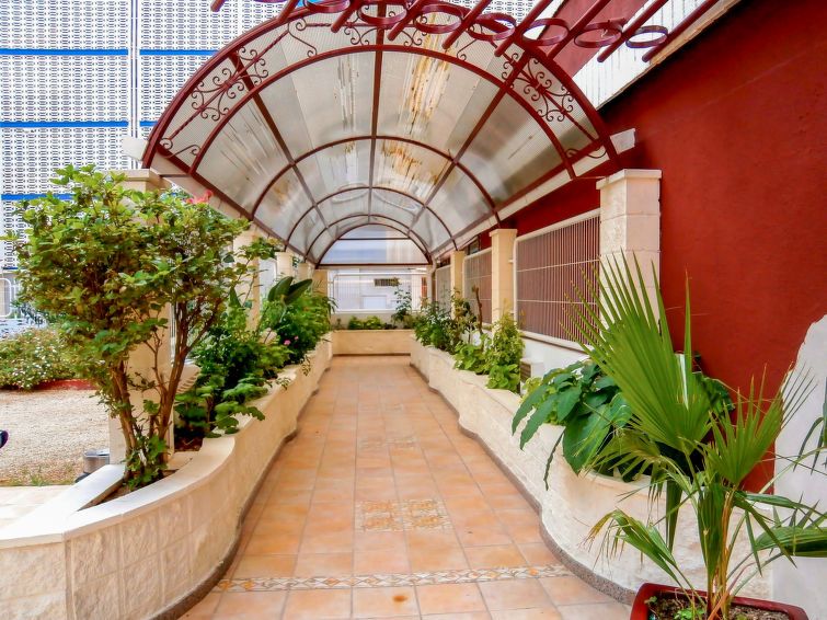 Las Damas Apartment 2 photo 21