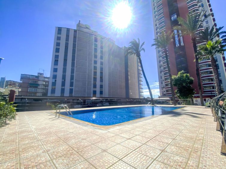 Las Damas Apartment 2 photo 16